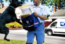 Mail Carriers Bitten by Dogs in California More Than Anywhere Else in U.S.